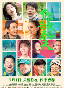 保险设计公司的女职员